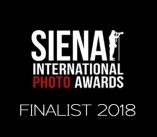 Finalist-Logo_2018 RECORTADO