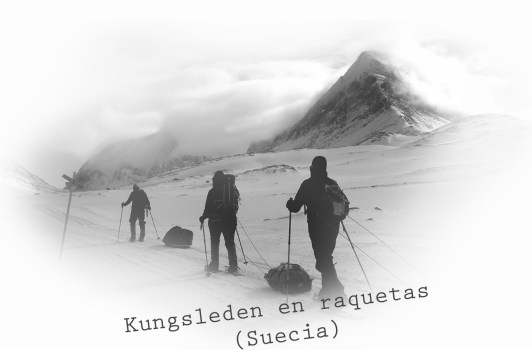 nueva cabecera SOHO KUNGSLEDEN cast
